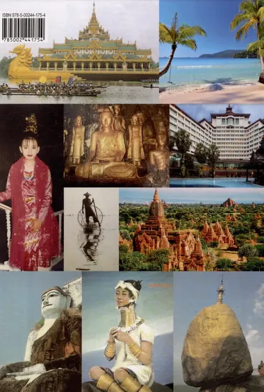 Операция «Магнит» (Тропические страсти)