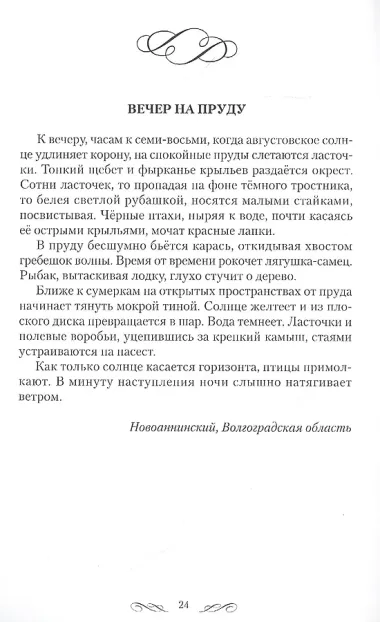 Времена года. Прогулки с самим собой