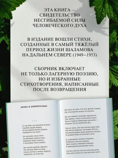 «Хочу я света и покоя...»