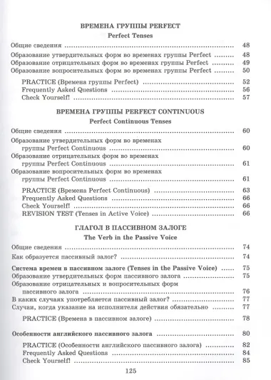Focus on Verbs: английский язык. Грамматика. Интенсивный курс подготовки к экзамену