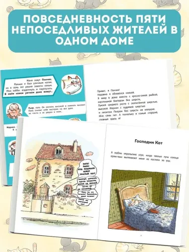 Кот Пончик. Жизнь кота