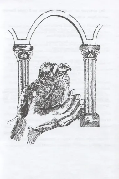 Рождение Иисуса