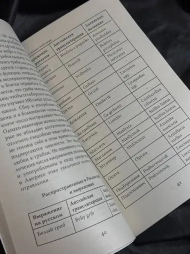 ЗаГРИБные истории. Тайны подземного царства