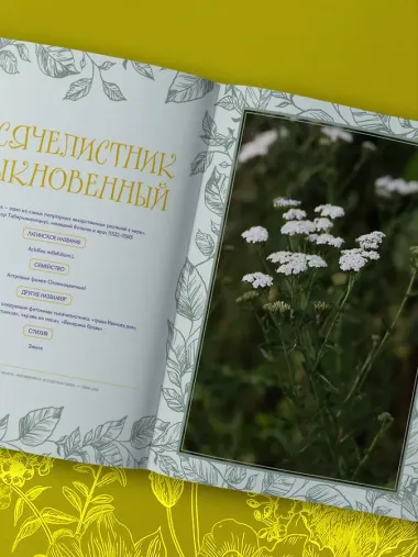 Шаманское травничество. Сила растений. Рецепты наших предков