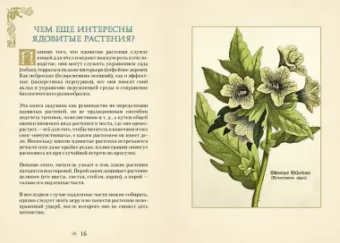 Яды. Секретная сила растений