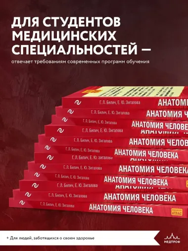 Анатомия человека: 2 издание