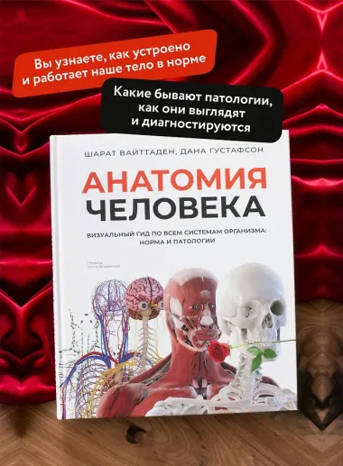 Анатомия человека. Визуальный гид по всем системам организма: норма и патологии