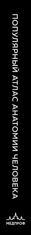 Популярный атлас анатомии человека. Анатомия Грея. 200 классических иллюстраций
