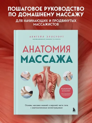 Анатомия массажа. Основы массажа нижней и верхней части тела с анатомическими иллюстрациями