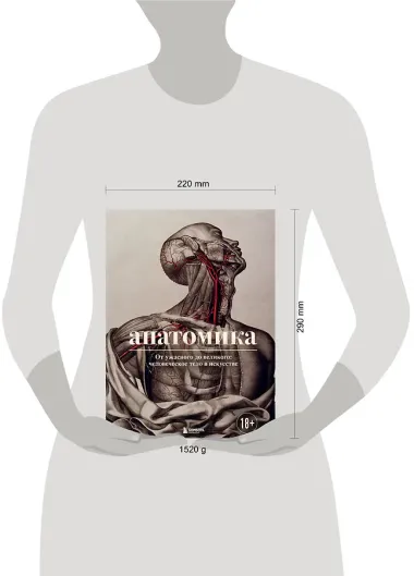 Анатомика. От ужасного до великого: человеческое тело в искусстве