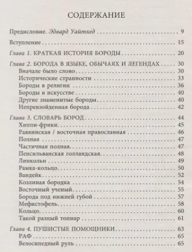 Борода. Искусство мужского шика