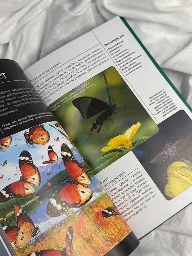 Бабочки. Иллюстрированный гид