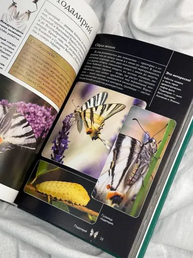 Бабочки. Иллюстрированный гид