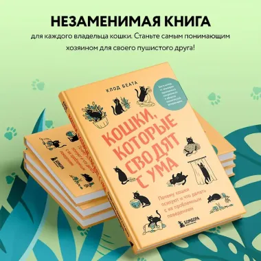 Кошки, которые сводят с ума. Почему кошки психуют и что делать с их проблемным поведением