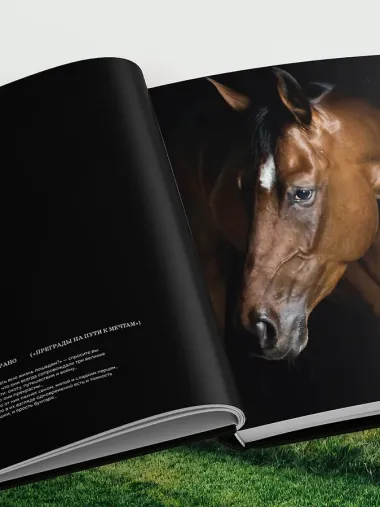 Лошади. Портреты, вдохновленные Рембрандтом. Эксклюзивный фотоальбом