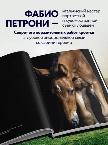 Лошади. Портреты, вдохновленные Рембрандтом. Эксклюзивный фотоальбом