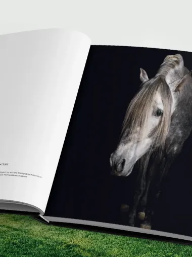 Лошади. Портреты, вдохновленные Рембрандтом. Эксклюзивный фотоальбом