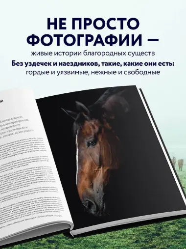 Лошади. Портреты, вдохновленные Рембрандтом. Эксклюзивный фотоальбом