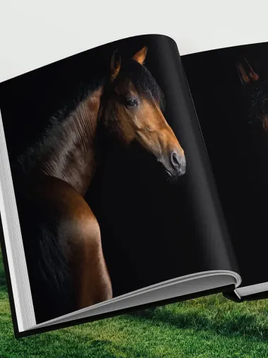 Лошади. Портреты, вдохновленные Рембрандтом. Эксклюзивный фотоальбом