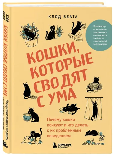 Кошки, которые сводят с ума. Почему кошки психуют и что делать с их проблемным поведением