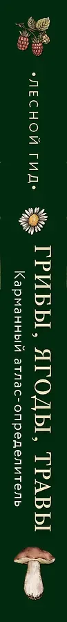 Лесной гид: грибы, ягоды, травы. Карманный атлас-определитель