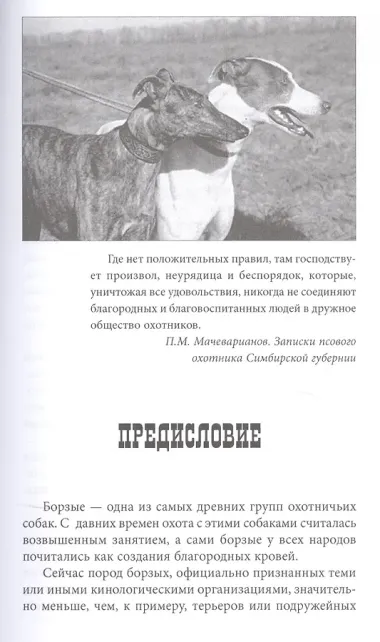 Борзые и охота с ними