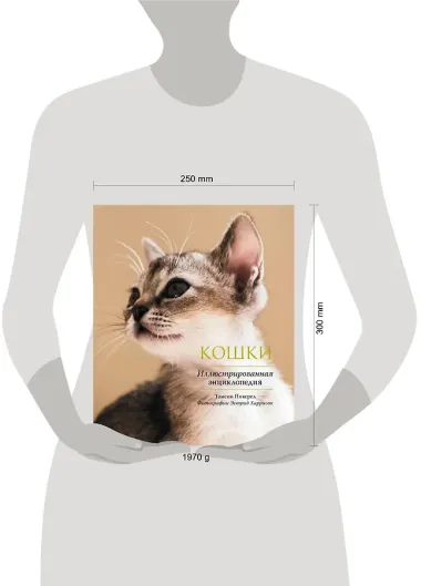 Кошки. Иллюстрированная энциклопедия