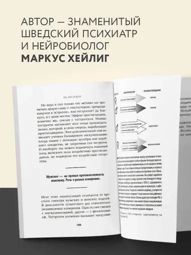 Он, она и мозг. Взгляд нейробиолога на наши сходства и различия