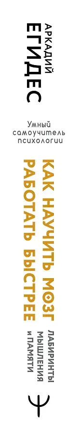 Как научить мозг работать быстрее. Лабиринты мышления и памяти