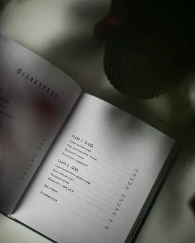 Год простых чудес. Найти опору и вдохновение в красоте повседневности (авторские стикеры внутри)