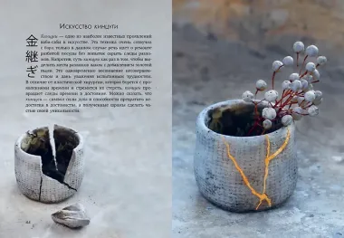 Wabi Sabi. Глоток счастья по-японски