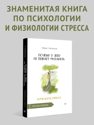 Почему у зебр не бывает инфаркта. Психология стресса