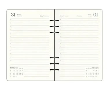 Ежедневник датированный 2026 год, А5, 160 листов, 180x230 мм 