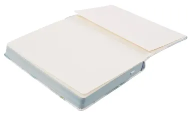 Ежедневник датированный 2026 год, А5, 176 листов, 140x200 мм 