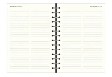 Ежедневник датированный 2026 год, А5, 160 листов, 140x200 мм 