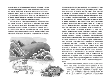 Рождённый бежать