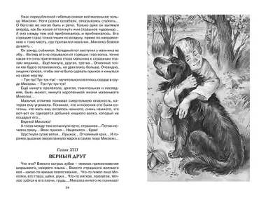 Дом шалунов