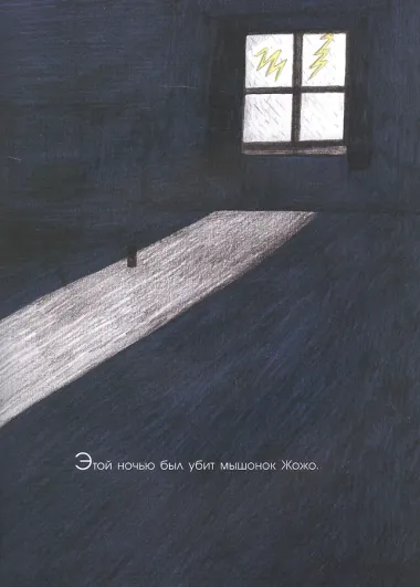 Во всем виноват кот