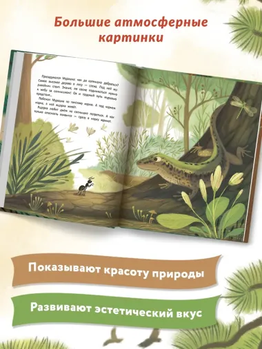 Как муравей за солнышком ходил