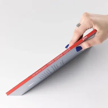 Стойкий оловянный солдатик