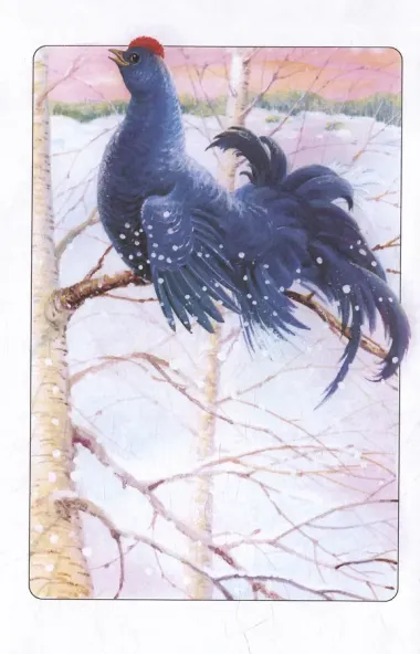 Сказки следопыта