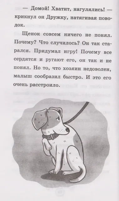 Щенок Дружок ищет друзей