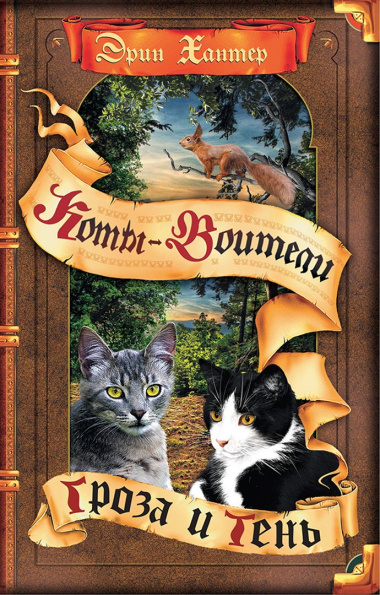 Гроза и Тень