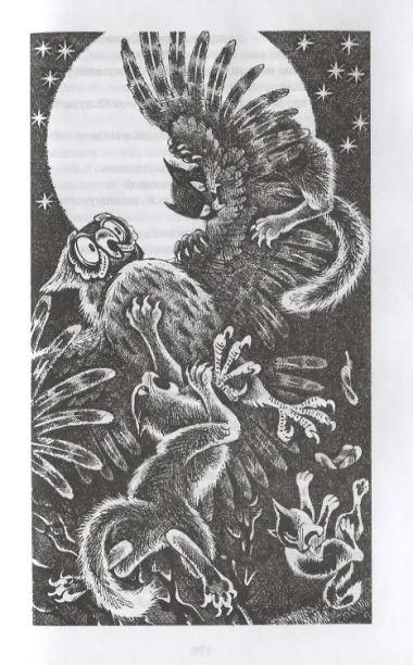 Гроза и Тень