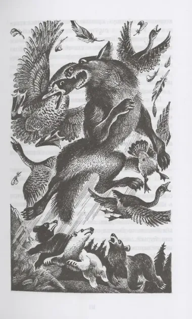 Последняя глушь