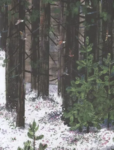 На Север. Путешествие всед за чайкой