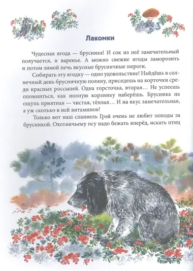 Зеркальный дом озёрной чайки