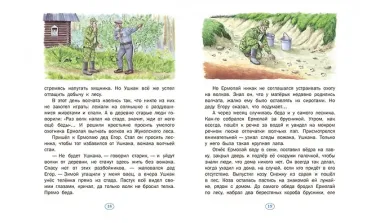 История одного волчонка. Рассказ