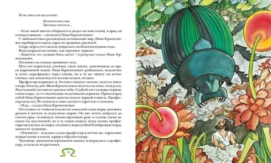 Необыкновенные приключения Карика и Вали