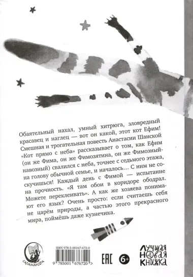 Кот прямо с неба